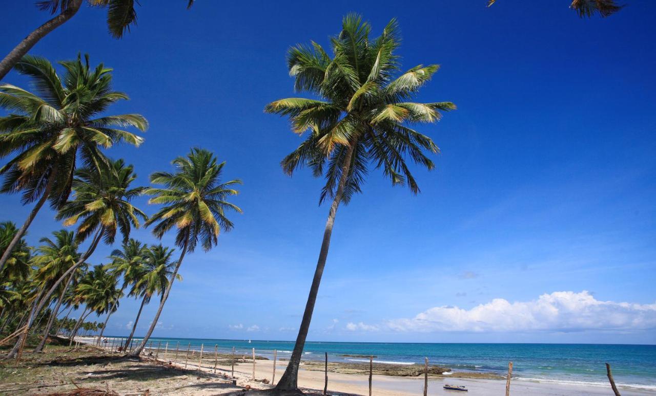Flat Super Luxo Carneiros Beach Resort Tamandaré Exteriör bild